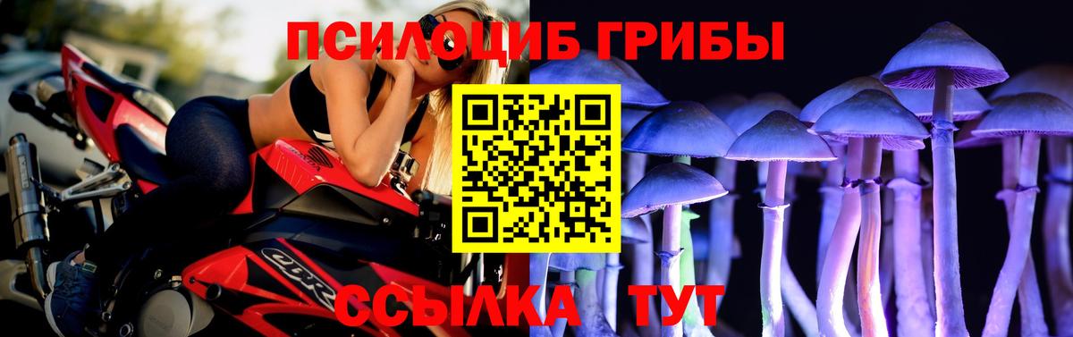 Псилоцибиновые грибы MAGIC MUSHROOMS  Вход с VPN  Псилоцибиновые грибы GOLDEN TEACHER  Можайск 